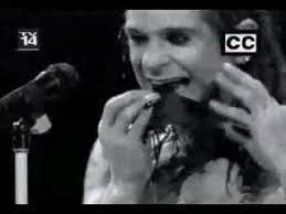 March 27, 1981: Ozzy Osbourne's Bat Incident at CBS Record Gathering